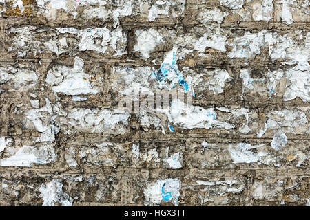 Burned paper on the wall Stock Photo