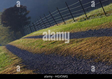 Diagonal gravel tire tracks next to dew-covered barbed wire fence leading to sunny but foggy morning destination Stock Photo