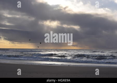 Seagulls fly across the waves as the sun peaks through the storm clouds Stock Photo