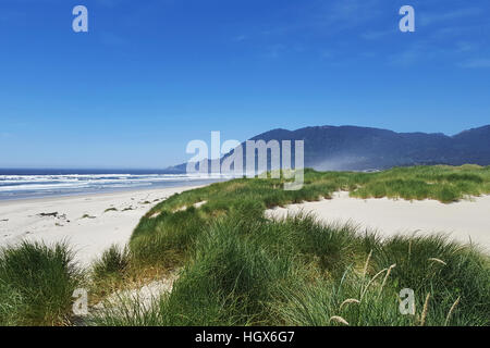 Grass covers dunes in dramatic seascape of Pacific Ocean beach at Nehalem Bay State Park, Nehalem, Oregon near picture perfect Manzanita. Stock Photo