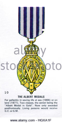Gold Lifesaving Medal Stock Photo Alamy