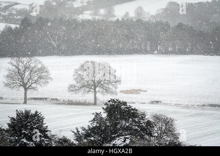 Snowy scenery at Newlands Corner in the Surrey Hills Area of Outstanding Natural Beauty and North Downs, UK Stock Photo