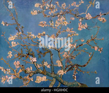 Almond Blossom, by Vincent van Gogh, 1890 oil on canvas, Netherlands, Europe Stock Photo