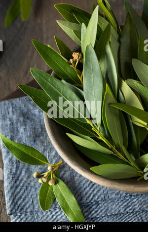 Fresh Organic Green Bay Leaves in a Bowl Stock Photo
