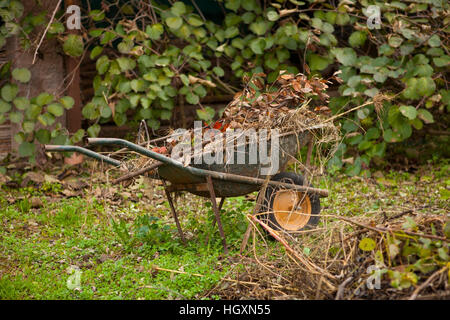 Old rusty wheelbarrow in a autumn garden
