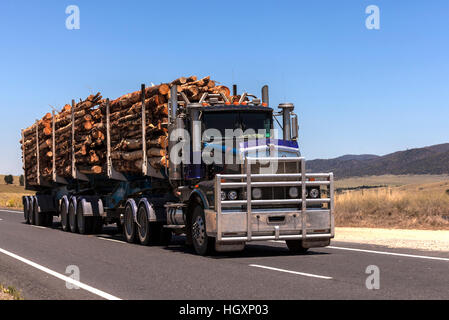 Logging truck carrying load of harvested trees to timber mill Stock Photo