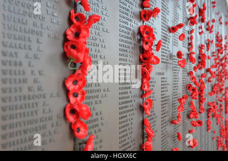 Poppies inserted between bronze plaques of the Roll of Honour listing servicemen and women died in conflicts, Australia Stock Photo