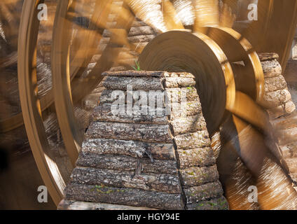 Tender green sprouts on the ancient waterwheel in Lijiang old town, Yunnan, China. Stock Photo