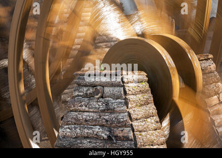 Tender green sprouts on the ancient waterwheel in Lijiang old town, Yunnan, China. Stock Photo