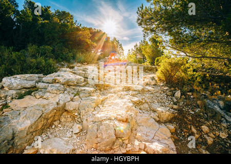 Sunrise over beautiful nature of Calanques on the azure coast of France. High bright cliffs in sunlight under blue sunny sky. Sunset over rocky path, Stock Photo