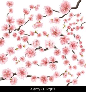 Set of sakura japan cherry branch. EPS 10 Stock Vector