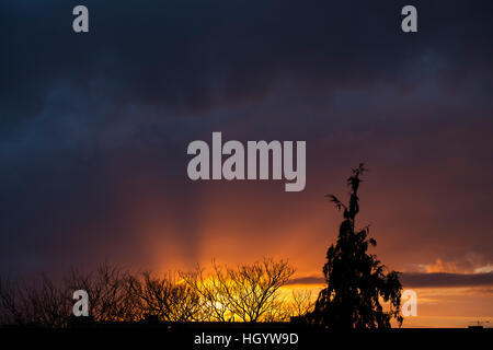 Wimbledon, London UK. 14th January, 2017. Rising sun in dawn sky breaks through thick cloud creating sunbeams above the rooftops of south west London. © Malcolm Park editorial/Alamy Live News Stock Photo