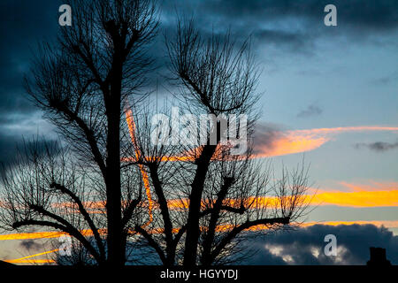 Wimbledon London,UK. 14th January 2017. residential rooftops and trees are silhouetted against a colorful winter sunset with stunning colours on a cold day in Wimbledon south west London Credit: amer ghazzal/Alamy Live News Stock Photo