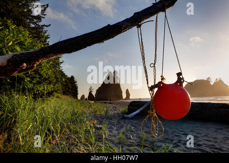 Orange fishing net float hanging from driftwood, Shi Shi Beach, Olympic National Park, Washington Coast, USA Stock Photo