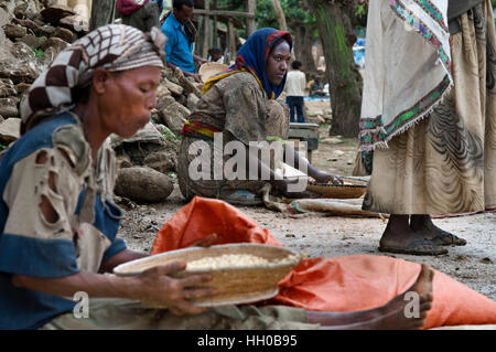 Adwa village, Tigray Region, Ethiopia. Some women sift through cereal grains in the village of Atwa. Teff, the cereal from Ethiopia. The teff is a cer Stock Photo