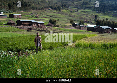 Road between from Wukro to Mekele, Ethiopia. Rice fields located on the road leading from Mekele to Lalibela. Mekele or Mek'ele is a city and a woreda Stock Photo