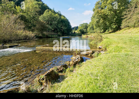 On a bright sunny autumn day the shallow, clear River Lathkill flows over a small weir between wooded banks in Lathkill Dale, Derbyshire, England. Stock Photo
