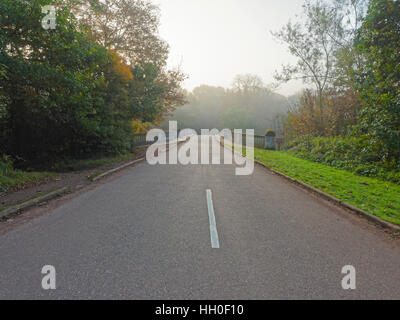 On a misty autumn morning a deserted country road, bordered by grass verges, shrubs and trees, leads over a narrow bridge Stock Photo