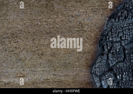 Wood Texture With Burned Right Side and copy space Stock Photo