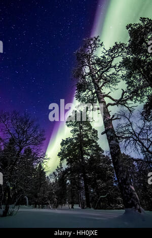 Northern lights in Urho Kekkonen national park, Finland Stock Photo