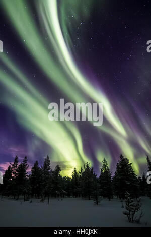 Northern lights in Urho Kekkonen national park, Finland Stock Photo