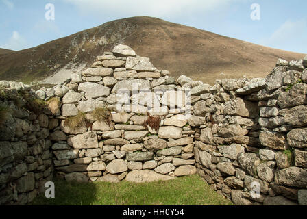 Interior of a ruined hous eon Hirta, St.Kilda, Outer Hebrides, Scotland UK Stock Photo