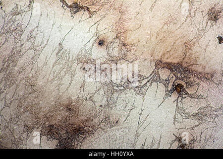microscopic shot showing some microcrystal patterns in dried dyestuff Stock Photo