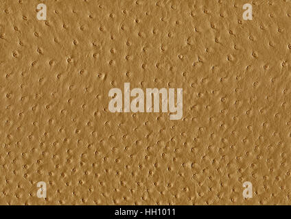 full frame abstract brown ostrich leather surface Stock Photo