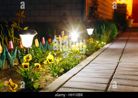 Night View Of Flowerbed With Violas Illuminated By Energy-Saving Solar Powered Lanterns Along The Path Causeway On Courtyard Going To The House Stock Photo