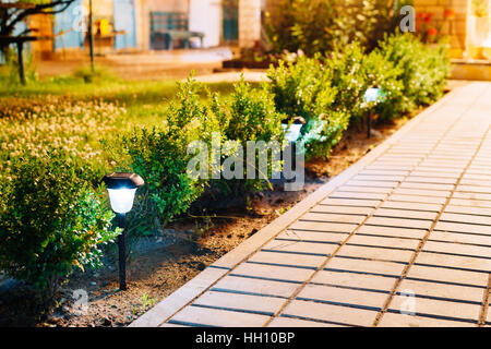 Night View Of Flowerbed With Violas Illuminated By Energy-Saving Solar Powered Lanterns Along The Path Causeway On Courtyard Going To The House Stock Photo