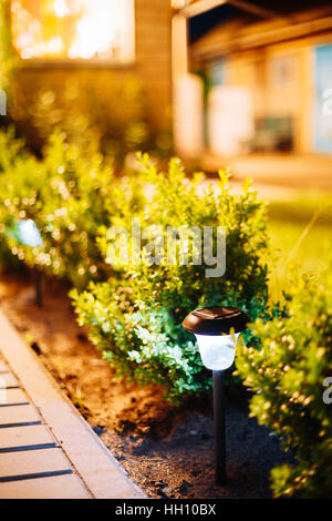 Night View Of Flowerbed With Violas Illuminated By Energy-Saving Solar Powered Lanterns Along The Path Causeway On Courtyard Going To The House Stock Photo