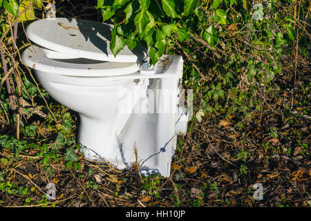 Old toilet by roadside Stock Photo