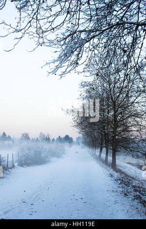 Winter time, Celje, Slovenia Stock Photo