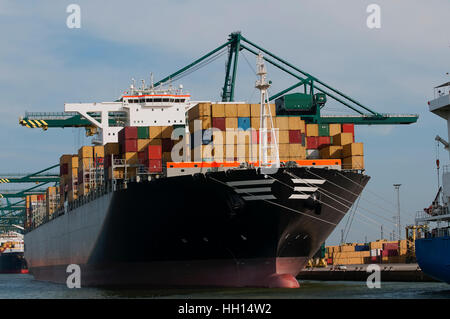 container ship at the dock in the harbor and be unloaded by large cranes. Stock Photo