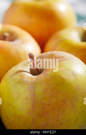 Goldrush Apples, an heirloom variety from Pennsylvania, USA Stock Photo