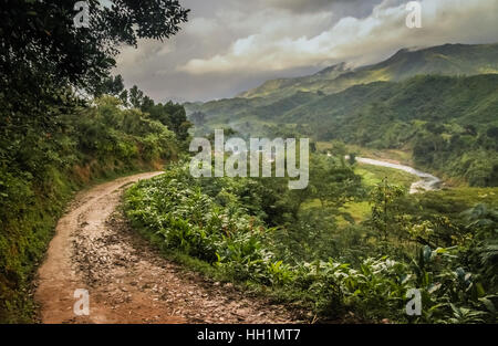 Path through dense madagascar rainforest near Masoala National Park Stock Photo