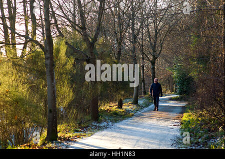 Walker  on the Deeside way at Cults, Aberdeen. Former Royal Deeside Railway line running from Aberdeen to Ballater in Scotland Stock Photo