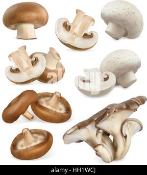 Edible mushrooms. Shiitake, oyster, cremini, white button. 3d vector icons set Stock Vector