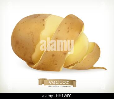 Vegetable potato peel spiral. Vector food Stock Vector