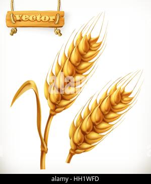 Wheat. 3d vector icon Stock Vector