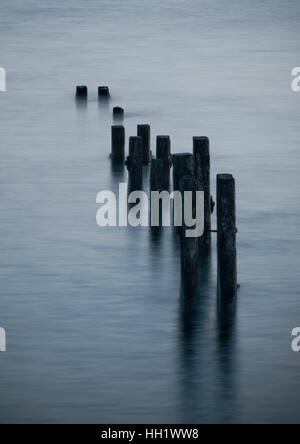 Timber posts of an old groin being submerged as the tide comes in. Stock Photo