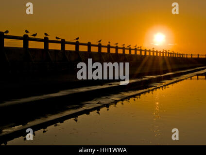 Tynemouth Lido at sunrise as a storm comes in. Stock Photo