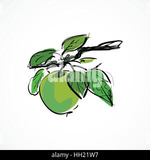 Apple icon Stock Vector