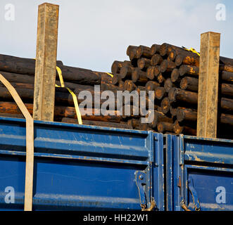blur in south africa truck full of forest wood dirt and dust Stock Photo