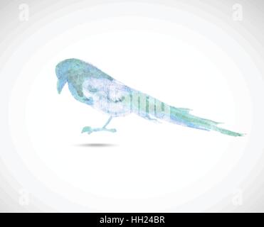 Watercolor magpie Stock Vector