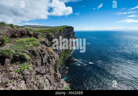 Látrabjarg, is a promontory and the westernmost point in Iceland. The cliffs are home to millions of birds, including puffins. Stock Photo