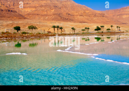 Dead Sea seashore with palm trees and mountains on background Stock Photo