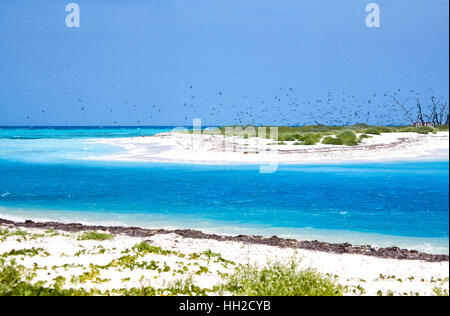 Brilliant blue waters flow between Bush Key and Garden Key in the Dry Tortugas. Bush Key is a bird nesting area and protected-Dry Tortugas, Florida Stock Photo