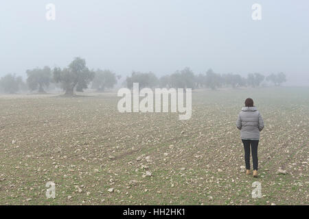 Woman walking through a field of olive trees, on a foggy morning in the province of Toledo, Spain. Stock Photo