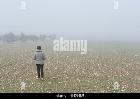Woman walking through a field of olive trees, on a foggy morning in the province of Toledo, Spain. Stock Photo